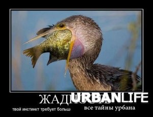 ��, ���