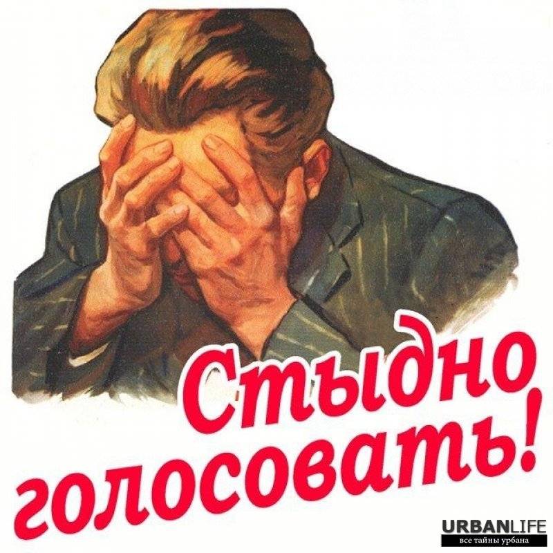 выборы, голосование выборы, голосование