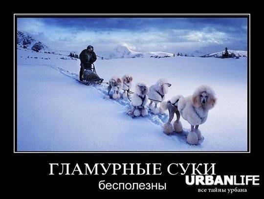 что значит понты дороже денег. Смотреть фото что значит понты дороже денег. Смотреть картинку что значит понты дороже денег. Картинка про что значит понты дороже денег. Фото что значит понты дороже денег