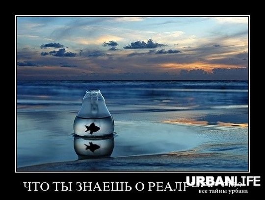 что значит понты дороже денег. Смотреть фото что значит понты дороже денег. Смотреть картинку что значит понты дороже денег. Картинка про что значит понты дороже денег. Фото что значит понты дороже денег
