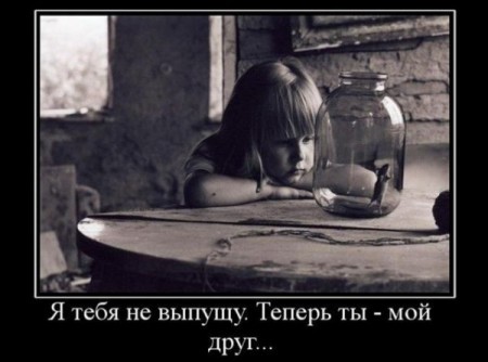 дружба, друзья дружба, друзья