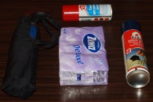 сумка или рюкзак