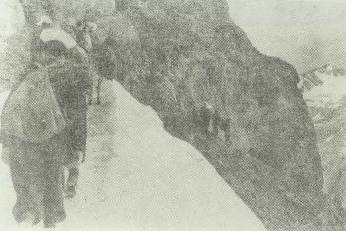 Тырныауз, гражданский, журналист, Варламов Тырныауз, гражданский, журналист, Варламов